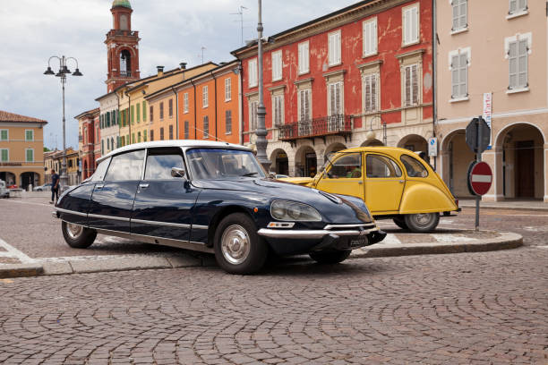 istockphoto-1427481874-612x612.jpg