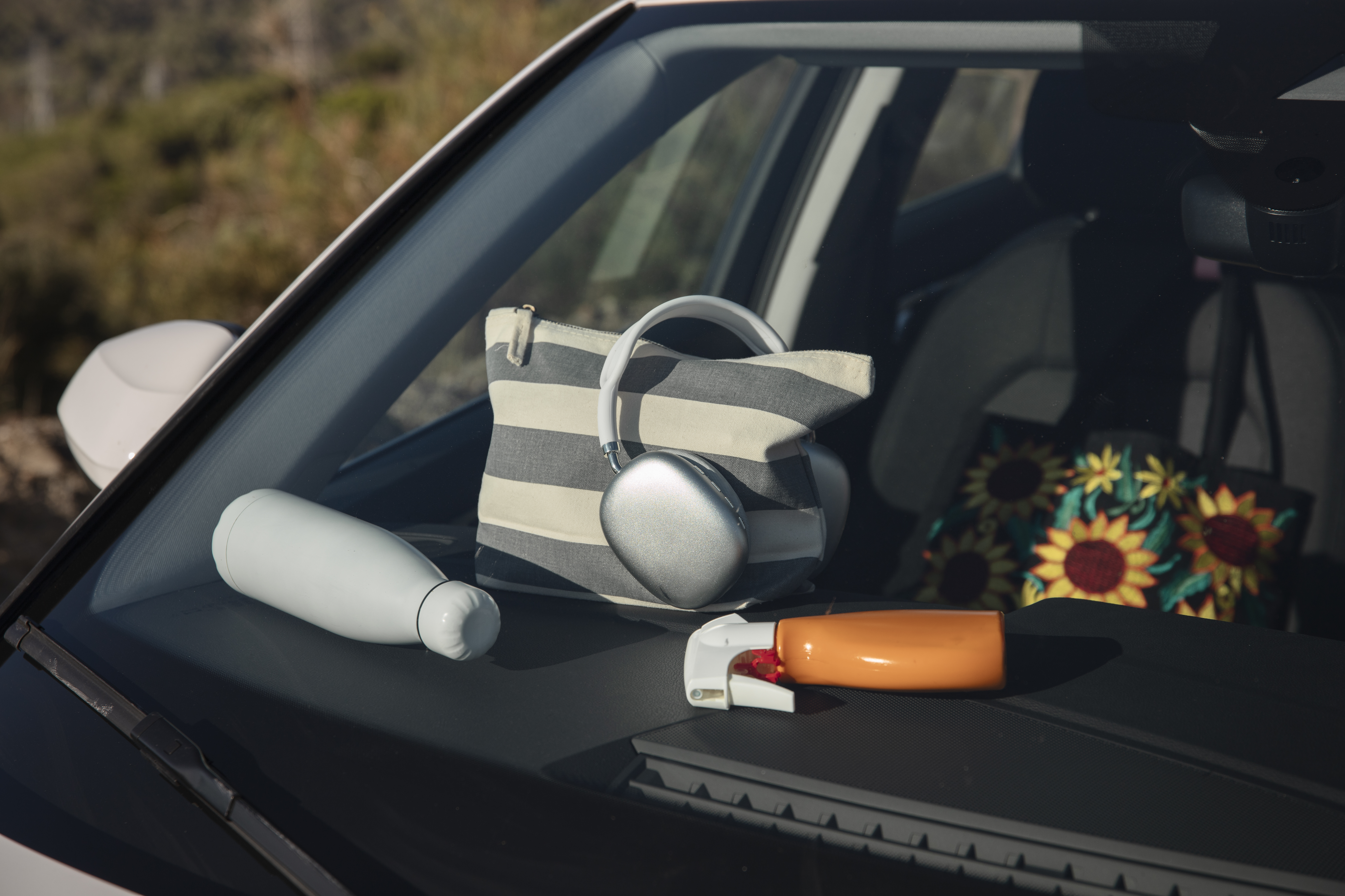 luggage-seen-from-rear-car-window.jpg