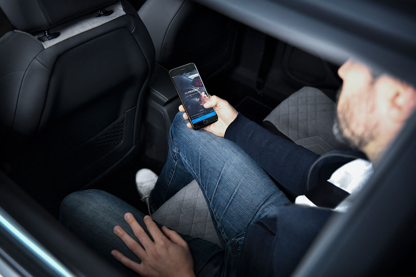 PEUGEOT_2008_Assist.jpg