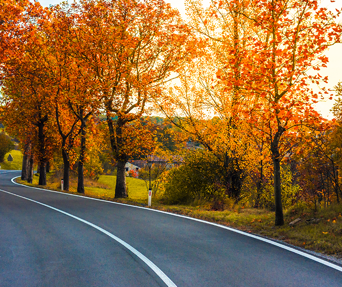 Nos conseils pour conduire en automne