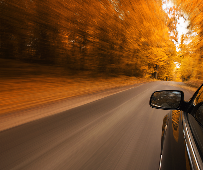 Conseils de conduite en automne