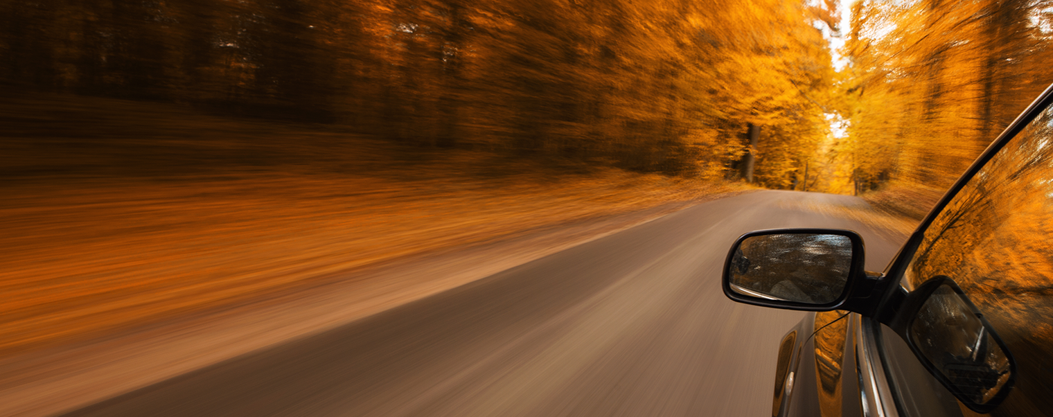 Conseils de conduite en automne
