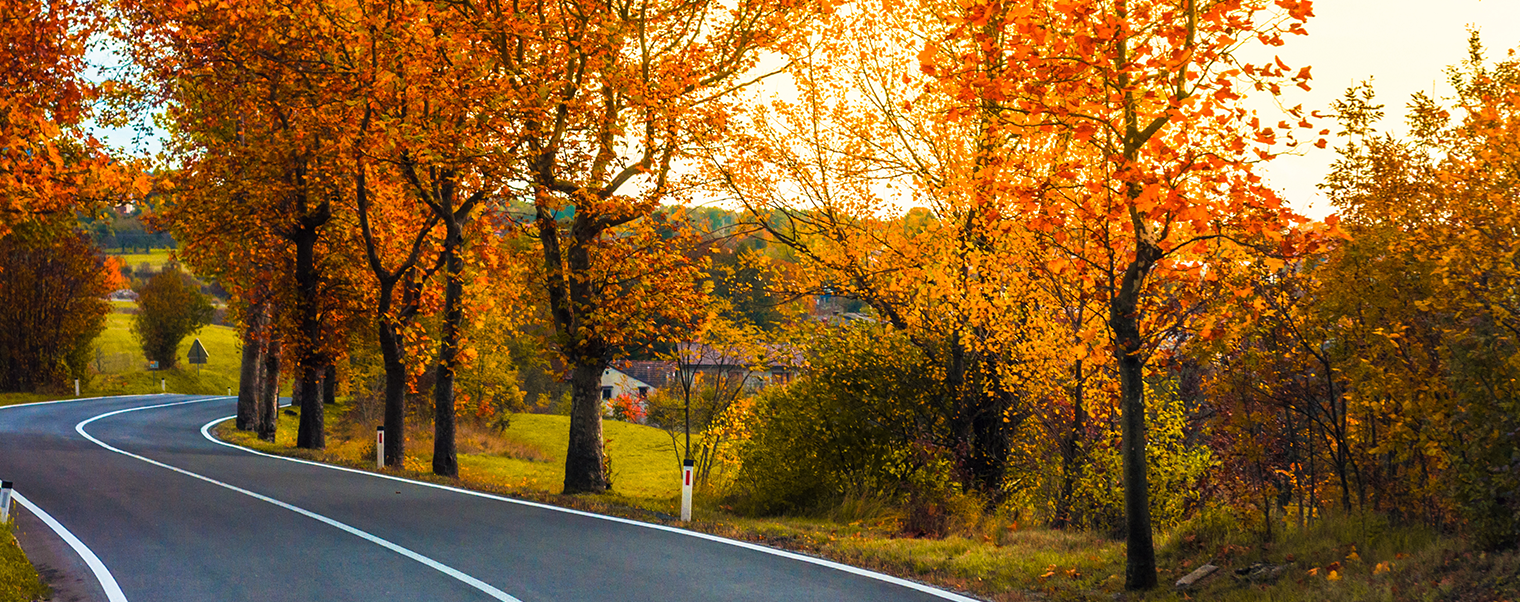 Nos conseils pour conduire en automne