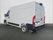 Occasion OPEL Movano MOVANO FGN TOLE 3.3T L2H2 140 CH S&S BVM6