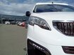 Occasion PEUGEOT Expert EXPERT FGN TOLE M BLUEHDI 145 S&S EAT8