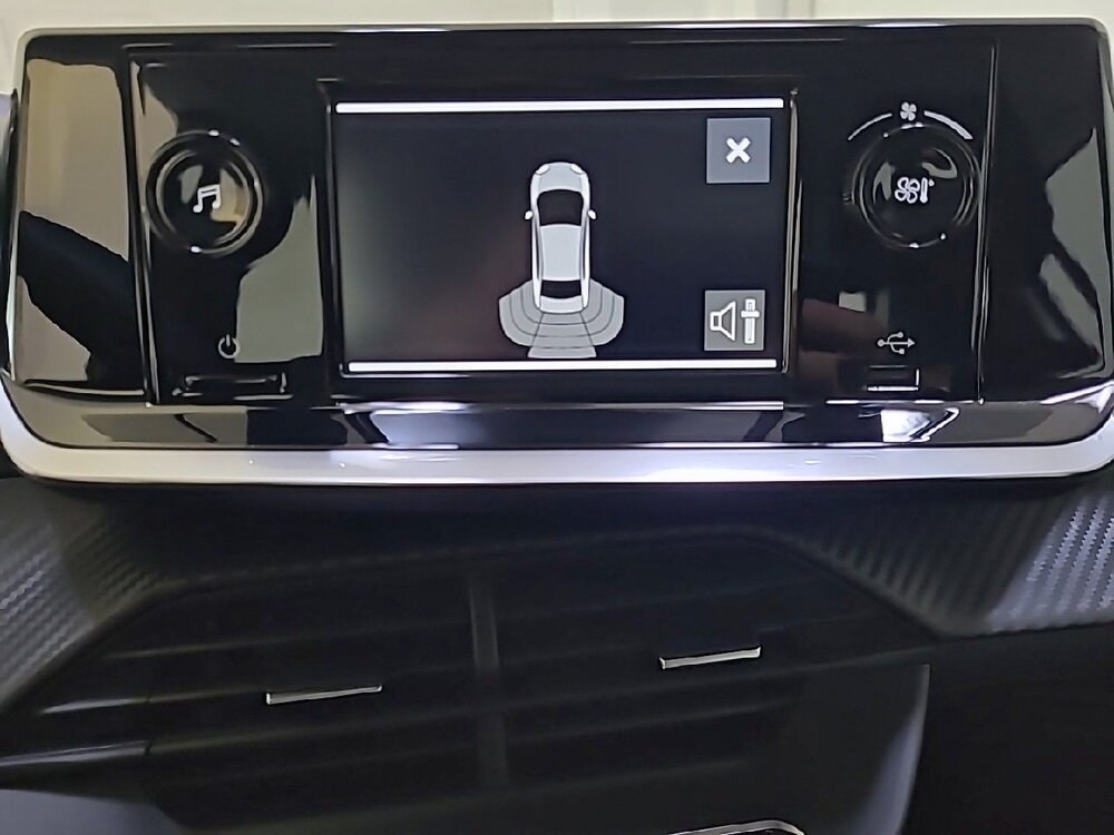 Occasion PEUGEOT 208 208 BLUEHDI 100 S&S BVM6 - PREMIUM