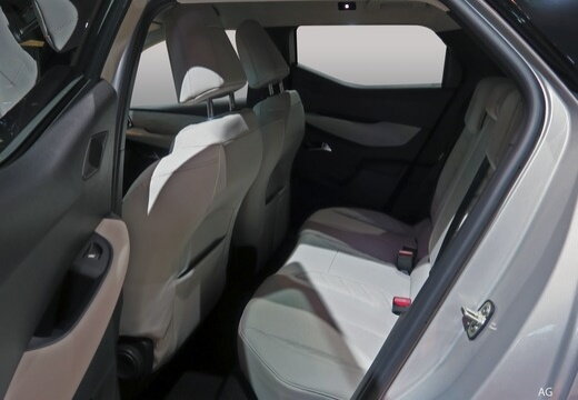 Occasion DS DS3 Crossback DS3 Crossback E-Tense - Performance Line+