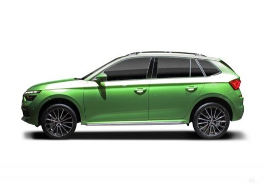 Occasion SKODA Skoda Kamiq Kamiq 1.6 TDI 116 ch BVM6 - Business